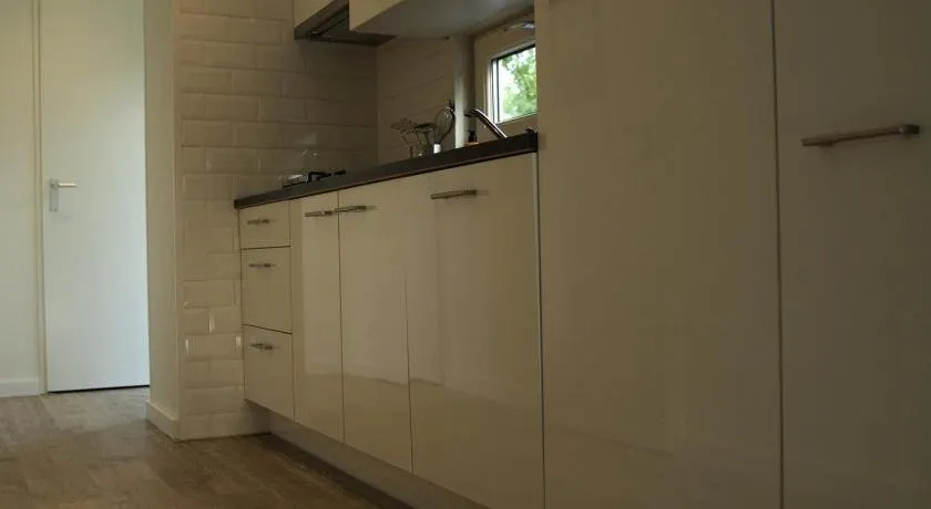 Dolfijn - Image 1