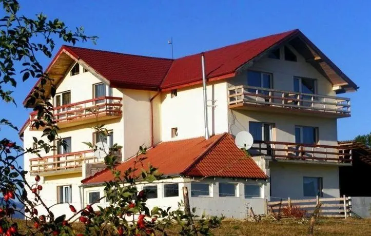 Pensiunea Runcu Stone - Image 1