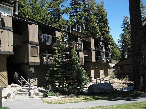 Bigwood 37 - Image 1