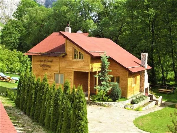 Valisoara Holiday House - Image 1