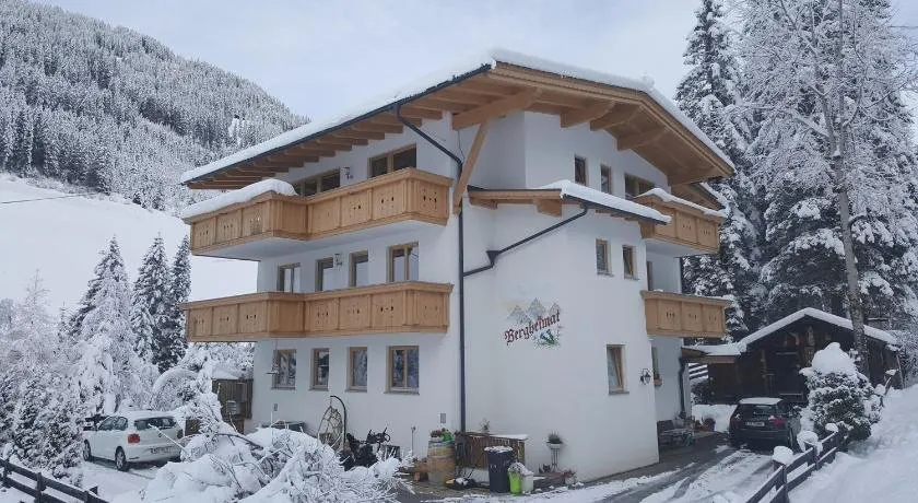 Haus Bergheimat - Image 1