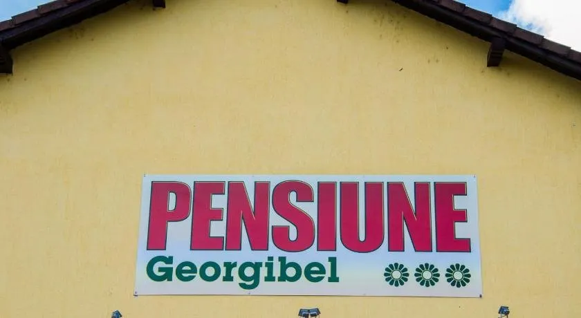 Pensiunea Georgibel - Image 1