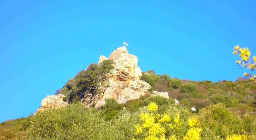 1 Trova-Ranocchietto - Image 1
