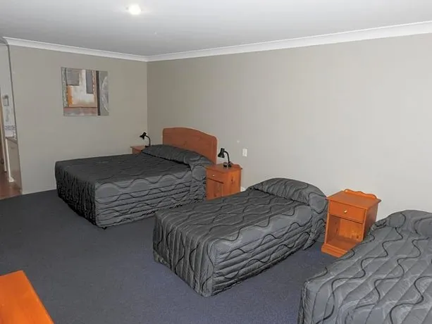 Asters on James Motor Inn - Image 1