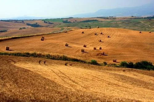 Podere Poggio Salto - Image 1