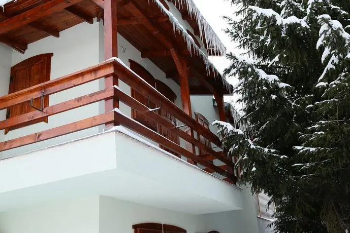 Vila Brandusa Predeal - Image 1