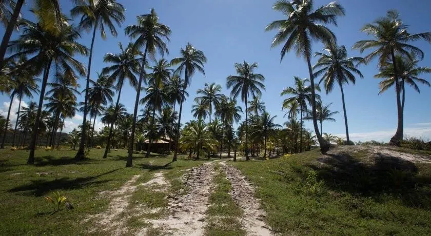 Casa de Praia Mico Leao - Image 1