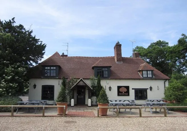 The Yew Tree - Image 1