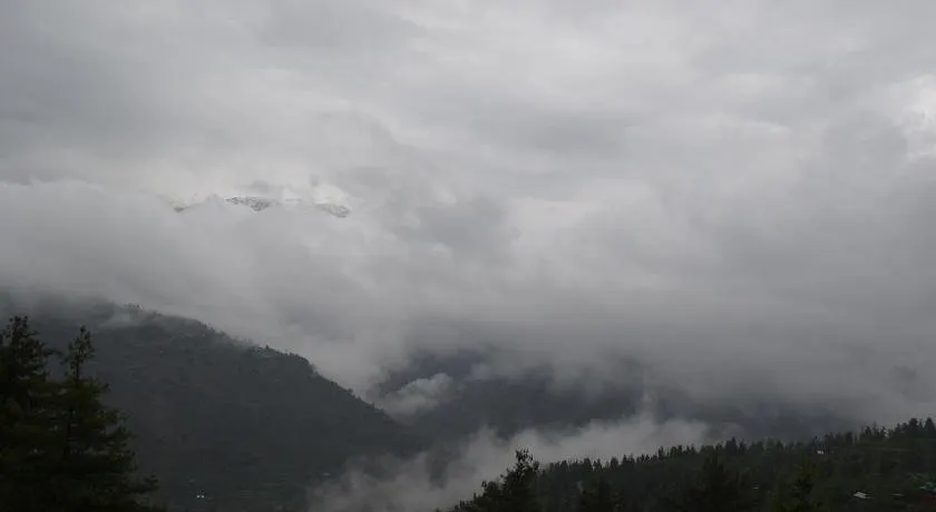 Woods Chanshal - Image 1