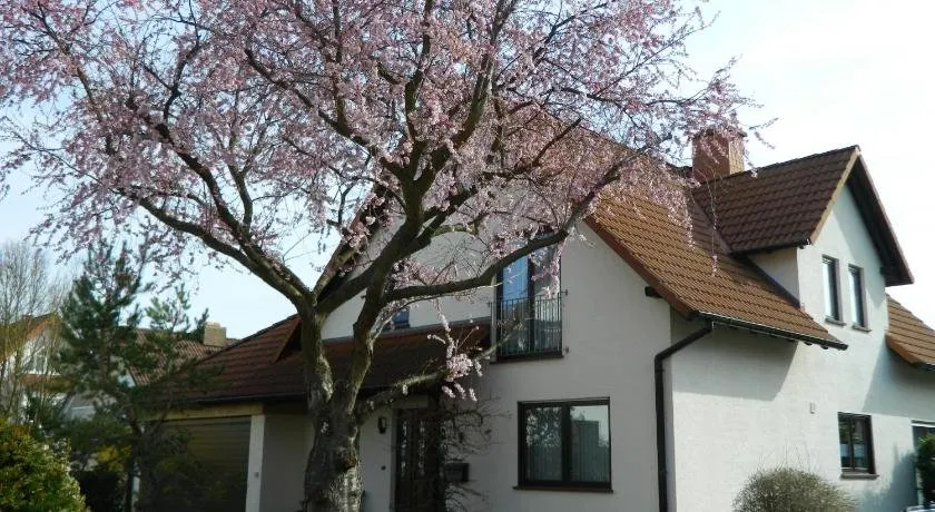 Ferienwohnung Kiko - Image 1