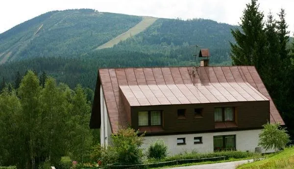Pension Simona - Image 1
