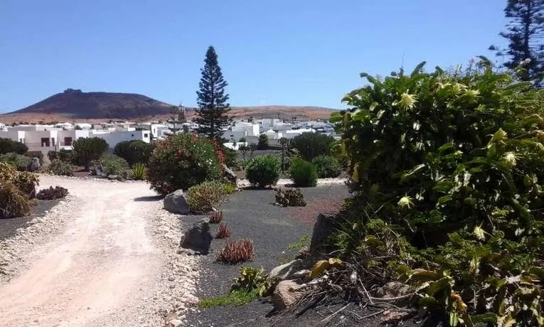 Tynira - Image 1