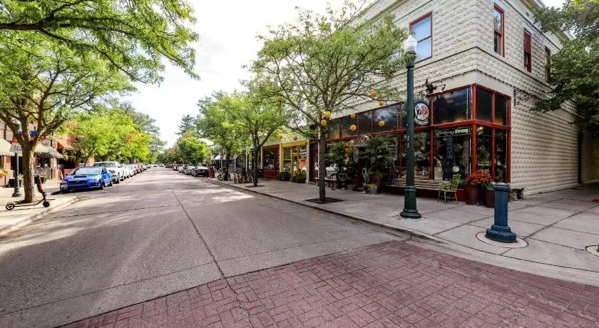 Hyde Park Mainstay And Delight - Image 1