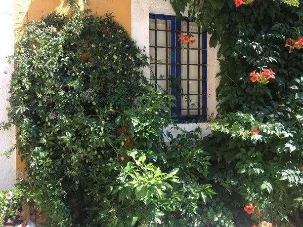 Maspitra B&B - Image 1