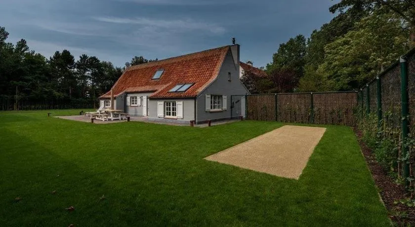 Amber - Image 1