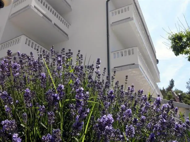 Apartments Ivana - Image 1