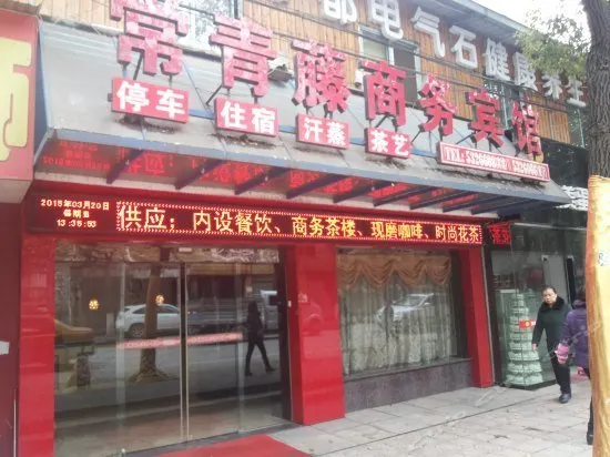Ivy Business Hotel - Image 1