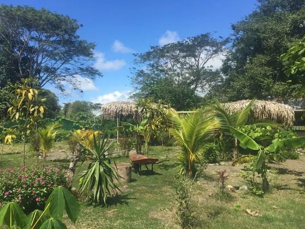 The Spot - Image 1