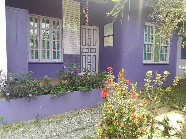 Purple House Hostel David - Image 1