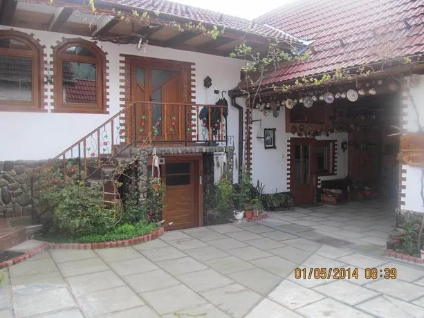 Casa De Vacanta Vidrighin - Image 1