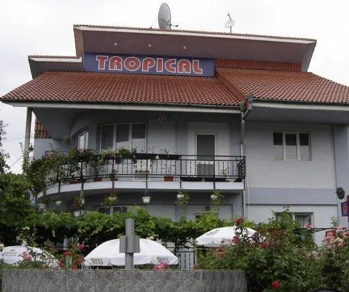 Tropical - Image 1