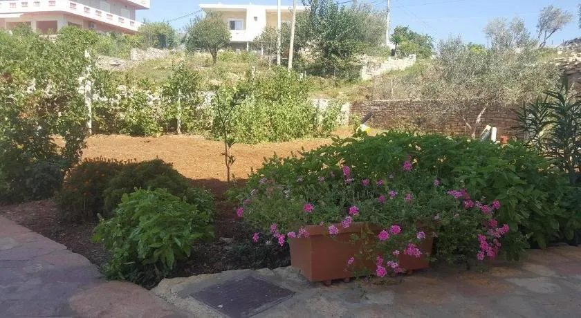Guesthouse Vila Ari - Image 1