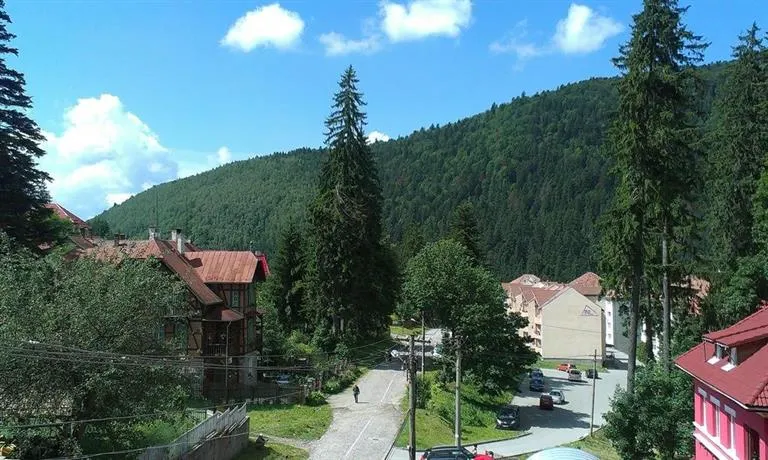 Fenyo Villa Bradul - Image 1
