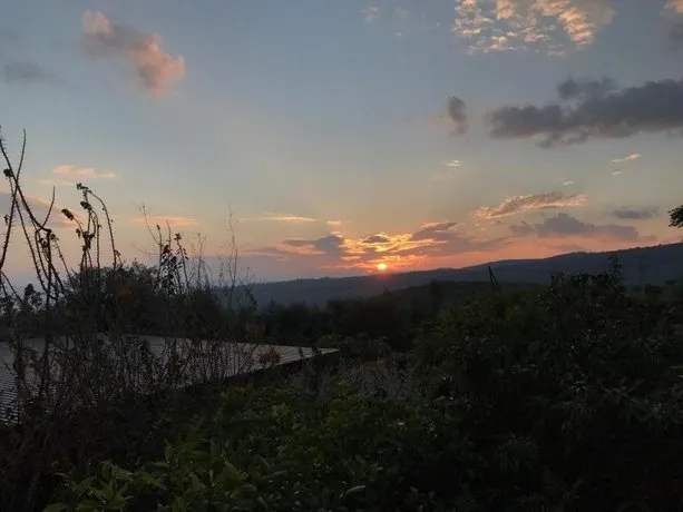 Paradise In The Heights - Image 1