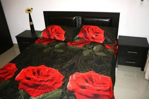 Selinger Apartment - Image 1