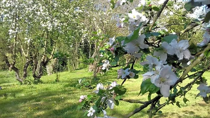 Domaine Pastel - Image 1