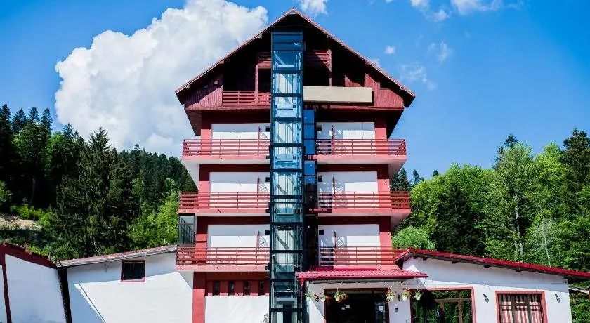 Hotel Pin Azuga - Image 1