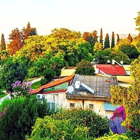 Kibbutz Nachshon - Image 1