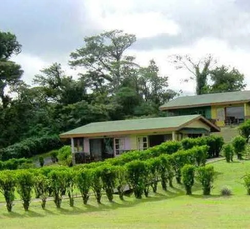 Eco Lodge Hotel - Image 1