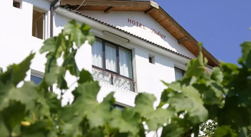 Family Hotel Joya - Image 1