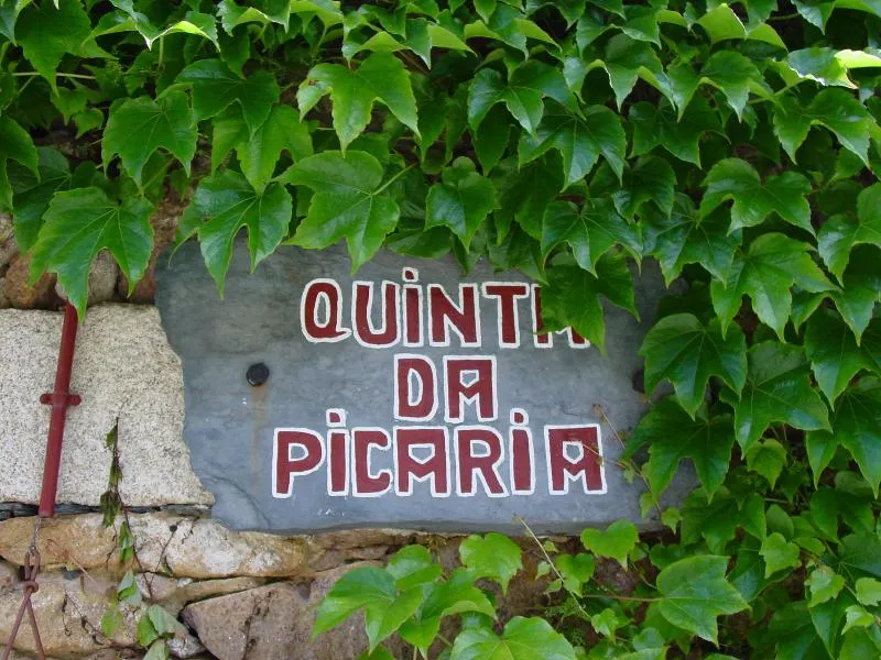 Quinta da Picaria - Image 1