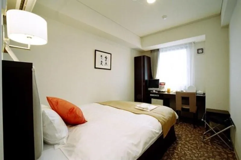 Hakodate Rich Hotel Goryokaku - Image 1