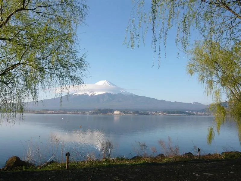 Cottage Tozawa Center - Image 1
