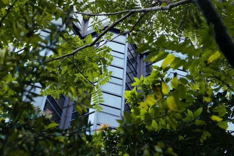 Primacy Hotel - Image 1