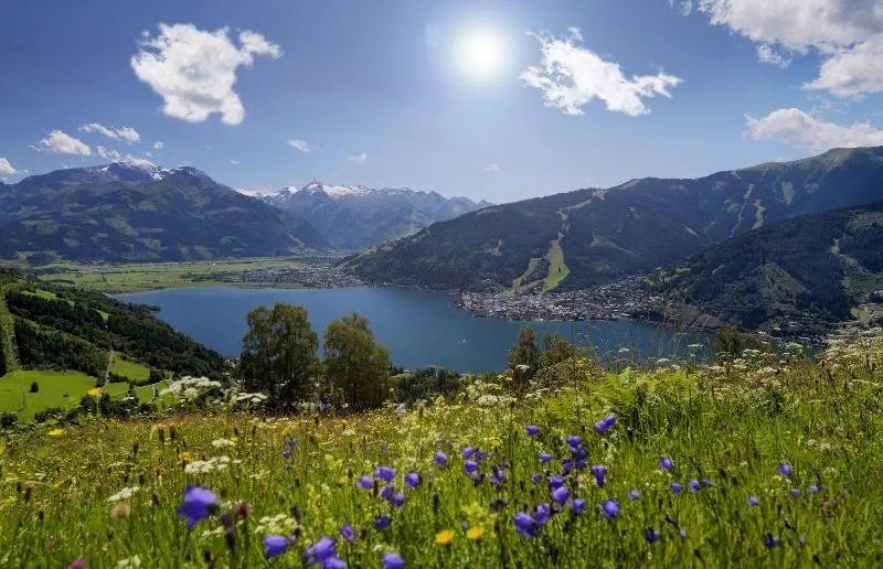 AlpenParks® Chalet & Apartment AreitXpress Zell am See - Image 1