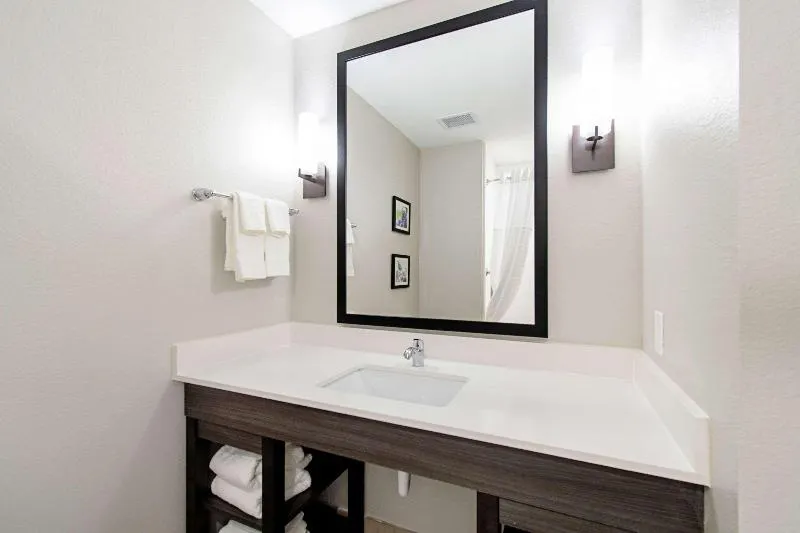 Comfort Suites Humble Houston At Beltway 8 - Image 1