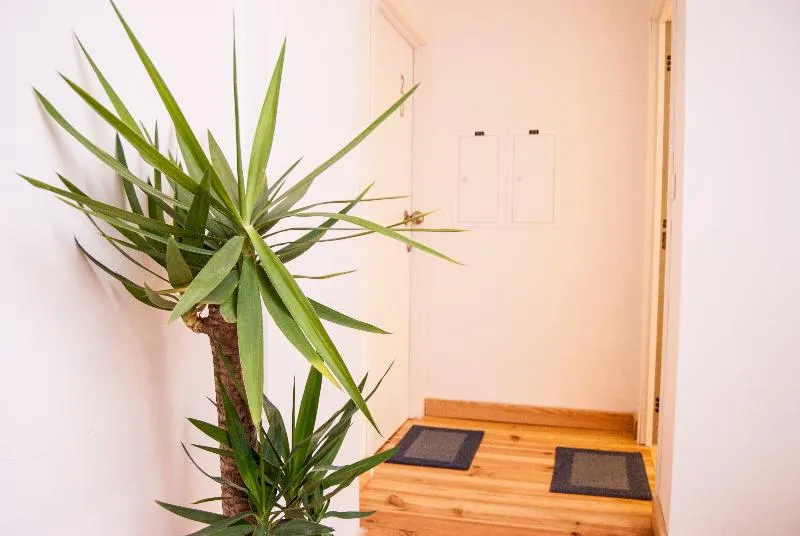 Daora Lisbon Apartments & Hostel - Image 1