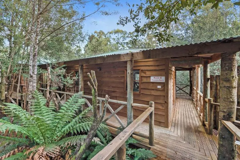 Cradle Forest Inn - Image 1