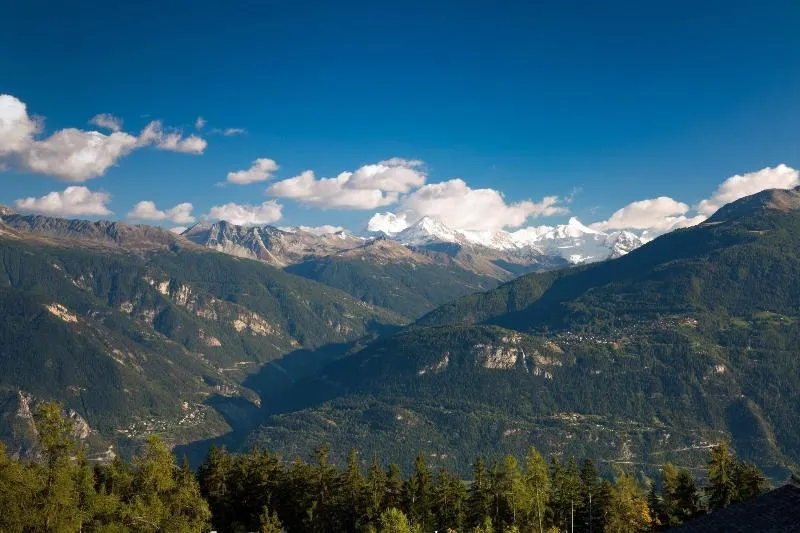 Apartment Appart-hotel Helvetia Intergolf in Crans-montana - 2 Persons- 1 Bedrooms - Image 1