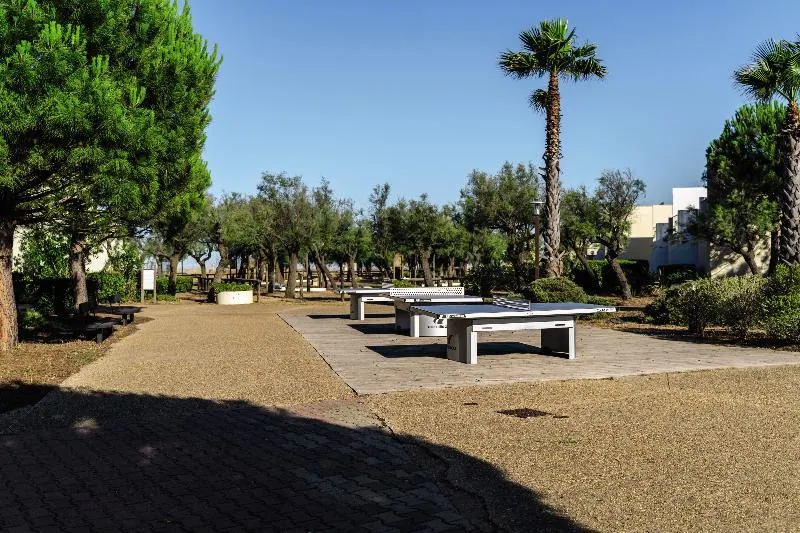 CAMPING LVL - Image 1