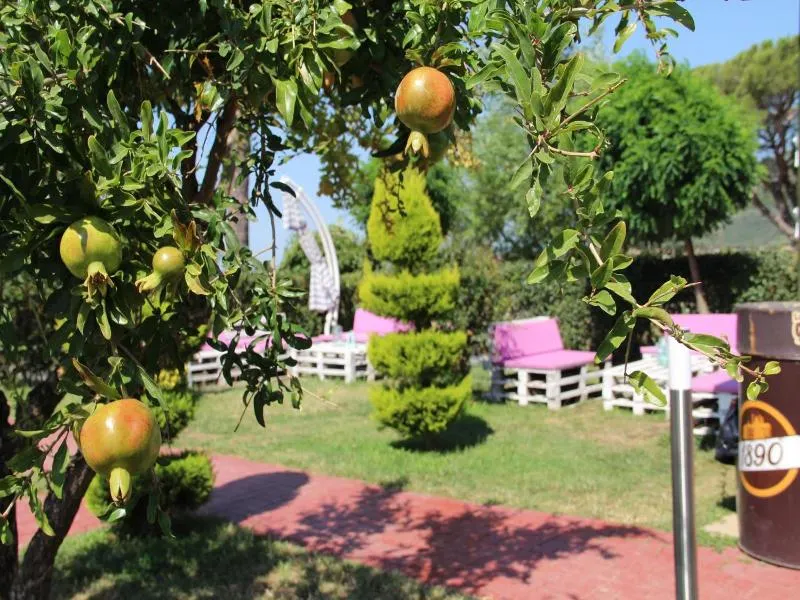 Aloria Garden Hotel - Image 1