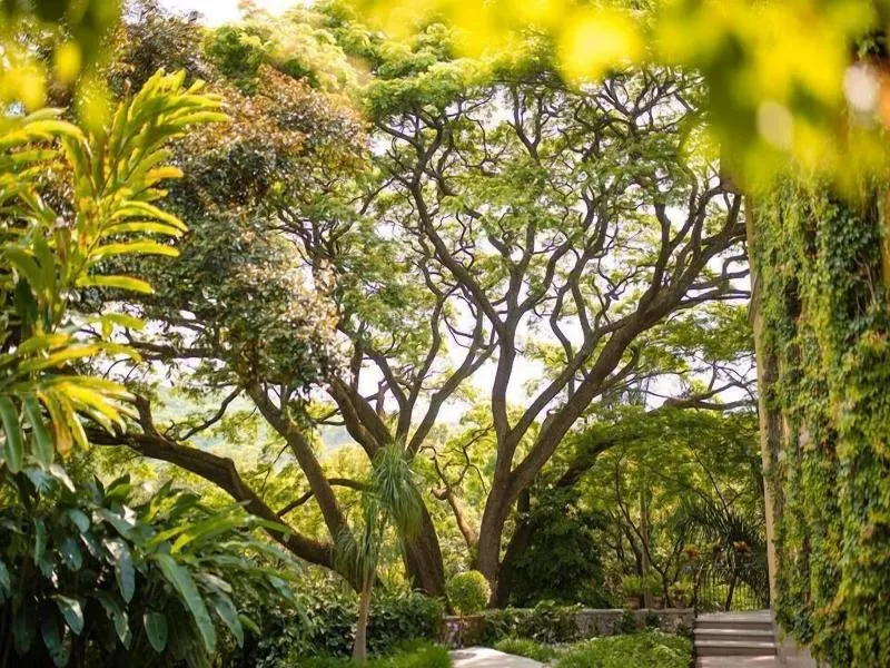 Rancho La Joya - Image 1
