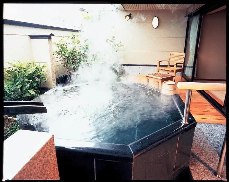 Bokoro Ryokan - Image 1