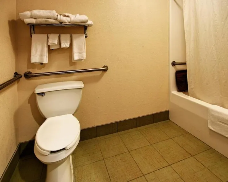 Comfort Inn Edmund Pettus Bridge area - Image 1