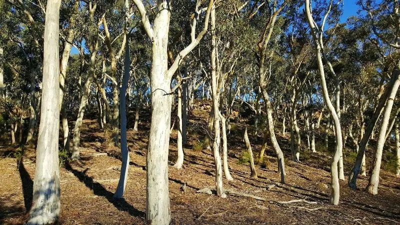 Secret Valley Escape - Image 1