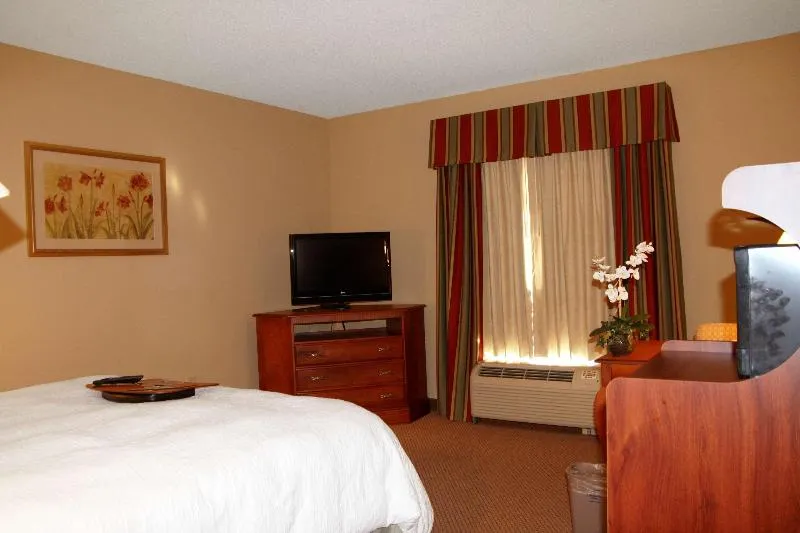 Hampton Inn Greenville - Image 1